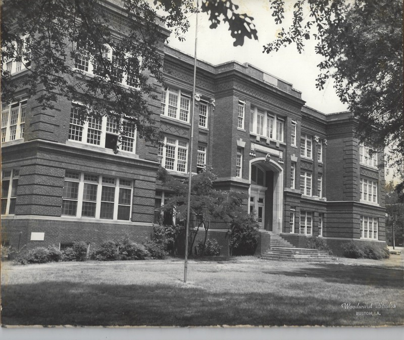 Plant, Building, Window, Tree