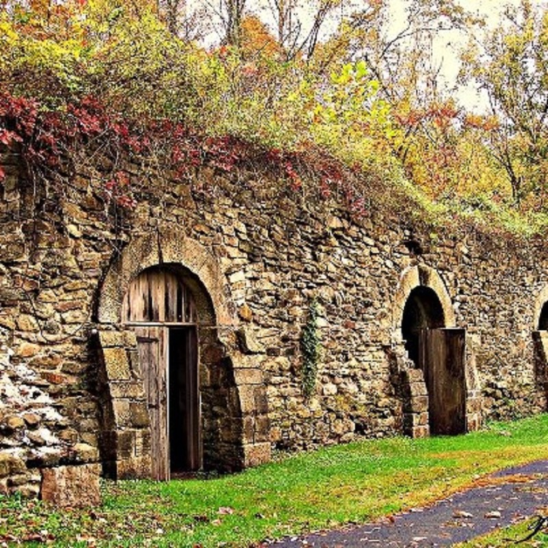 Wine Cellar 