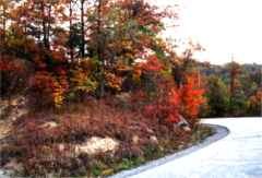 22 Mountain Road where Mamie's Body was found