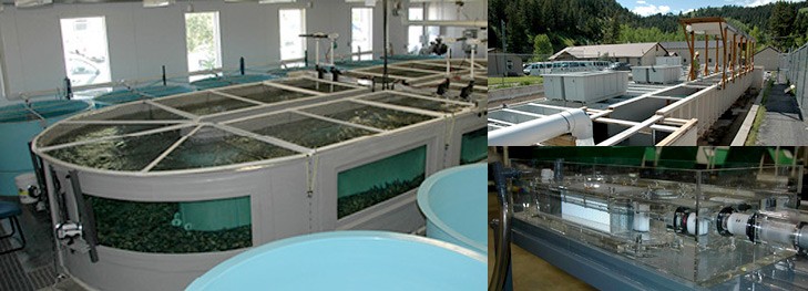 Views inside the center