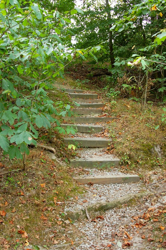 Bay View Trail by Virginia State Parks Staff, Wikimedia Commons (CC BY 2.0)