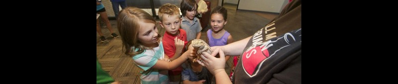 Critter Encounter at the Critter Row permanent exhibit