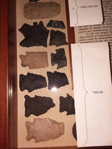Close-up of arrow heads (points) and fragments found at the Archaeological Site