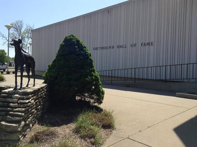 The Greyhound Hall of Fame was founded in 2016.
