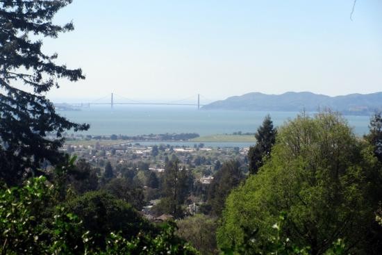 View of Golden Gate Bridge from the Berkeley Municipal Rose Garden