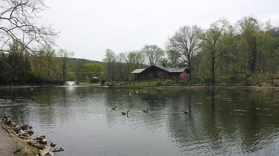 Herscher Lake at Coonskin Park