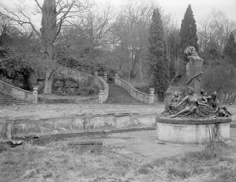 Plant, Tree, Sculpture, Black-and-white