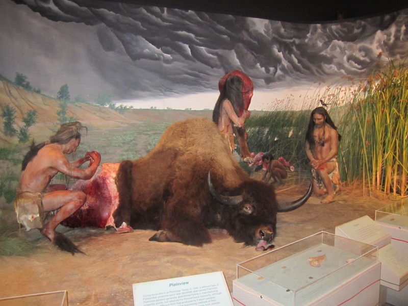 Bison Butchering Exhibit at the Lubbock Lake Landmark