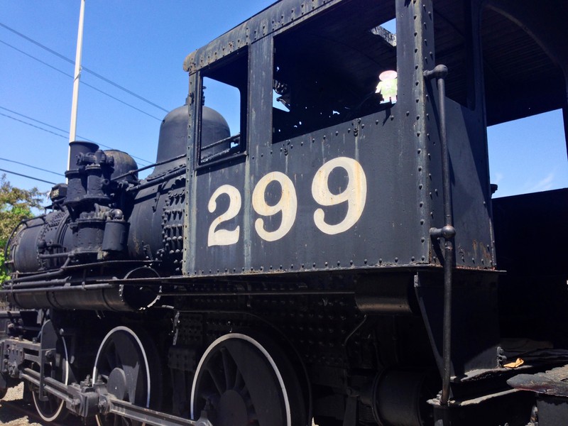 Paterson Locomotive #299