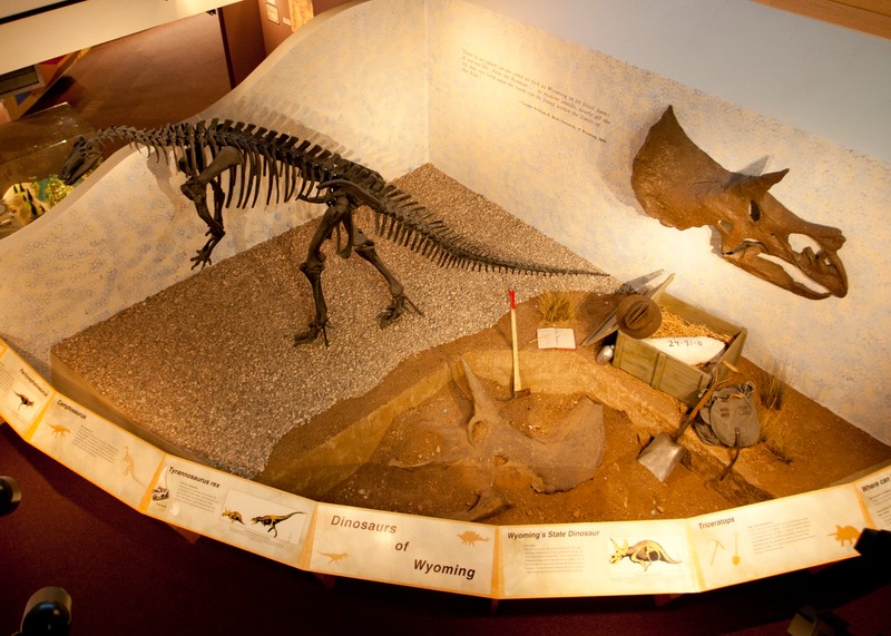 One of the dinosaur exhibits on display at the museum
