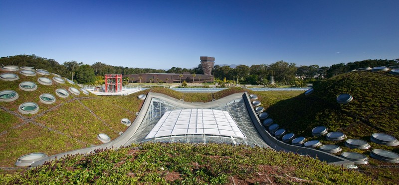 Living roof 