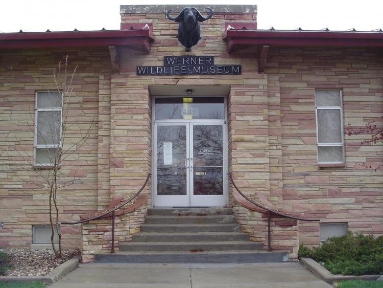 The Werner Wildlife Museum features a collection of nearly 400 animal specimens. 