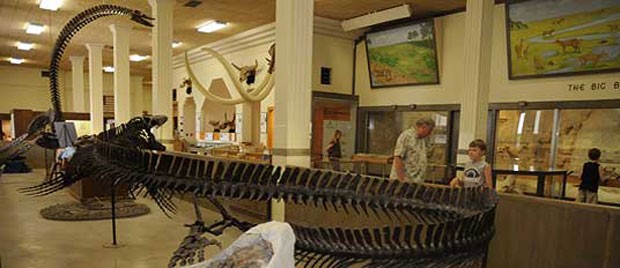 One of the dinosaur skeletons on display at the museum