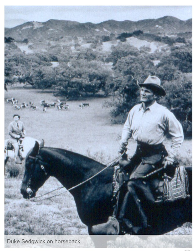 Horse, Photograph, Mountain, Vertebrate