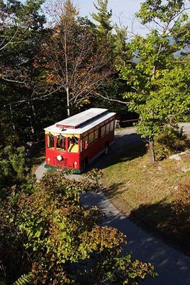 Lucknow Estate Trolley