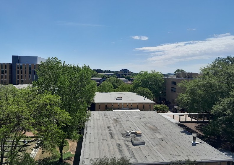 Sky, Cloud, Building, Tree