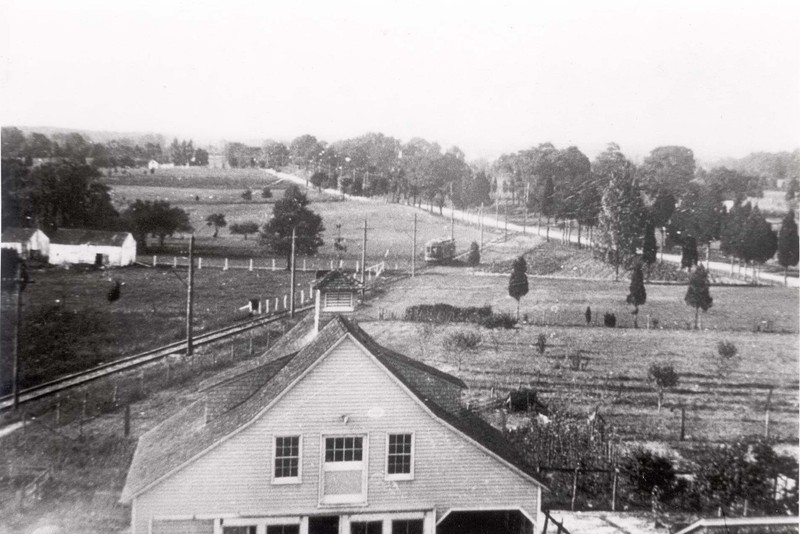 Tree, Land lot, House, Rural area