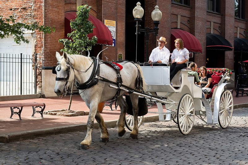 Visitors to Historic Laclede's Landing can enjoy a ride from the St. Louis Carriage Company, stationed outside the Old Spaghetti Factory, located at 727 N. First Street.