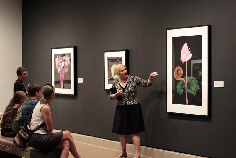 Guide leads visitors through a gallery 