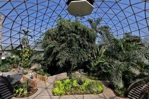 Interior of the greenhouse