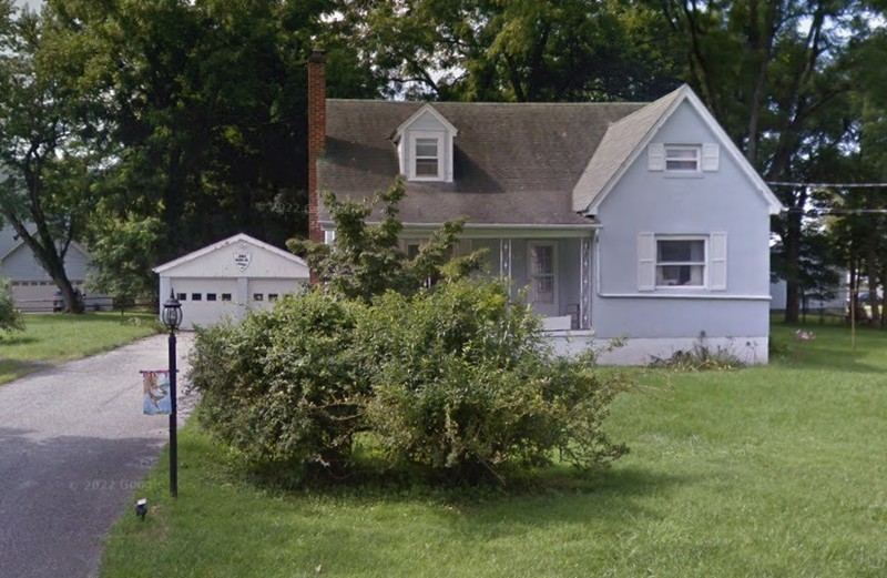 Plant, Building, Window, Tree