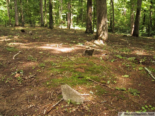 Section of Burial Ground. Rocks jutting out of ground are the 'headstones' for buried slaves. 