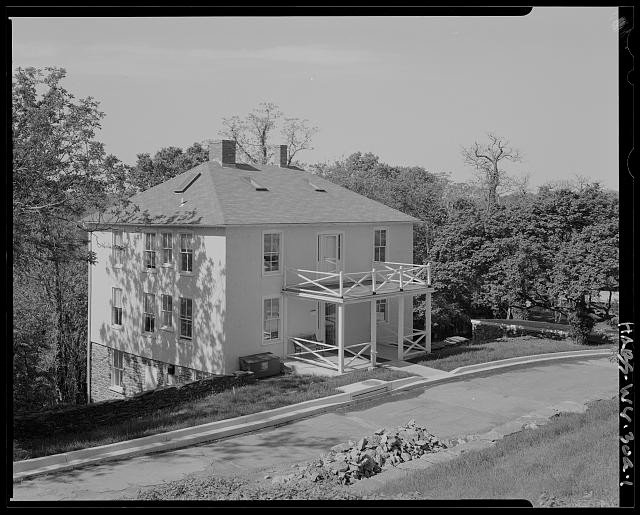 Building, Window, Black, Tree