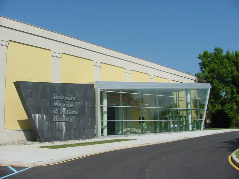 The Delaware Museum of Natural History