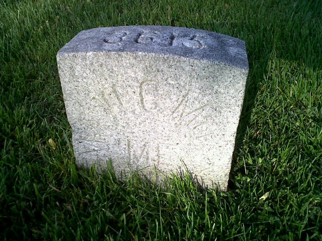 Plant, Headstone, Cemetery, Grass