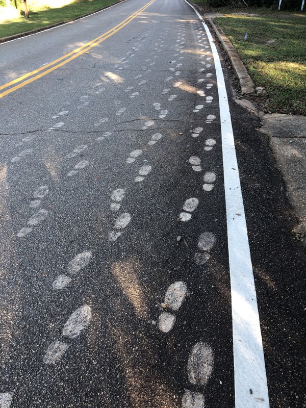 These painted footprints trace the path of Union prisoners for tourists to walk "in their shoes" 