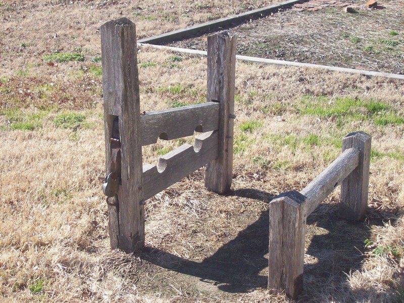 Wood, Split-rail fence, Land lot, Grass