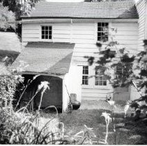 Building, Window, Plant, House