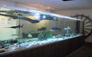 The museum is home to a large aquarium with species from the Ohio River.