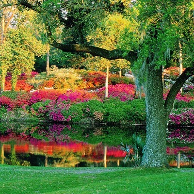Middleton Place Gardens