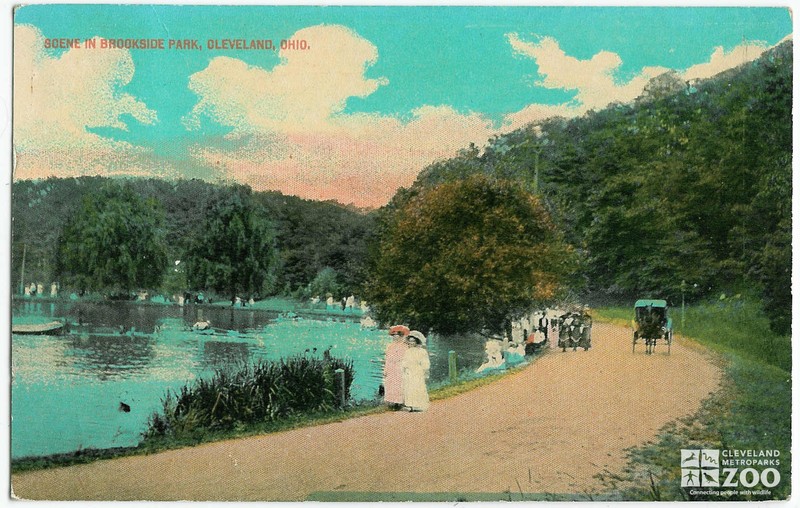 Waterfowl Lake (1815)