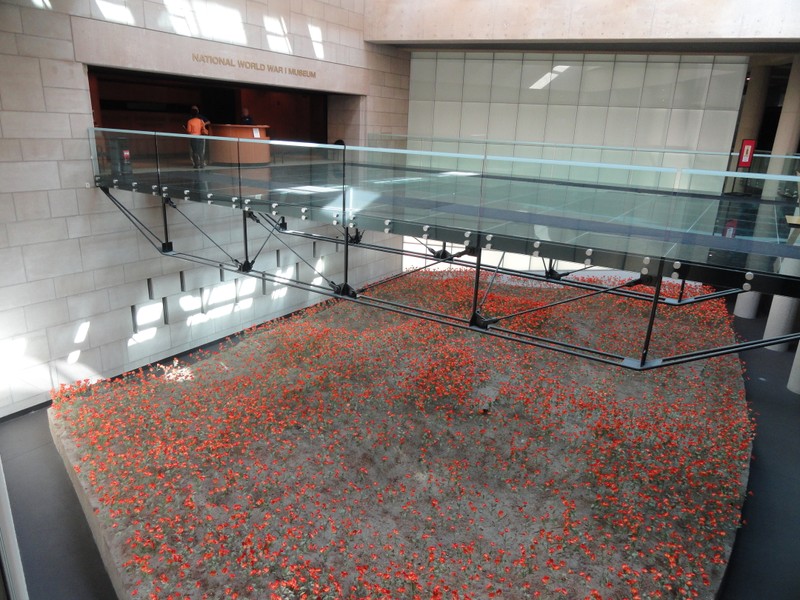 A field of 9,000 red poppies, each one representing 1,000 combatant deaths