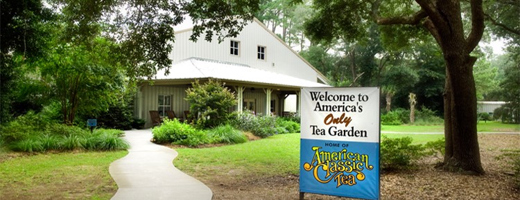 Charleston Tea Plantation Exterior