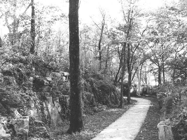 more trenches/walking paths