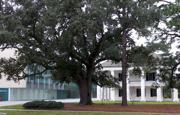 Paul and Lulu Hilliard University Art Museum at the University of Louisiana at Lafayette