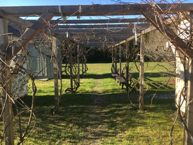 Gandy Farmstead - Grape Arbor