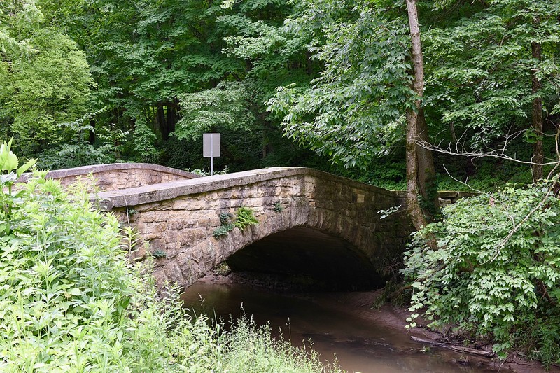 Plant, Natural landscape, Tree, Watercourse
