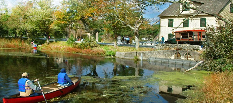 View of the pond