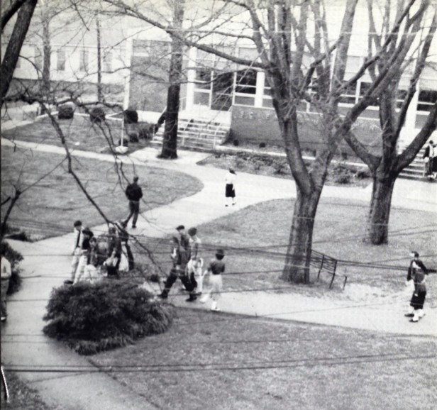 Trees, building, students, grass