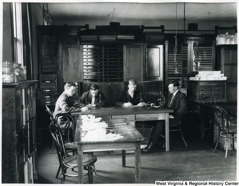 Entomology, or the study of insects, is important to agriculture. Here, four men take notes and peer through microscopes surrounded by insect collections. Photo courtesy the West Virginia and Regional History Center, WVU Libraries.