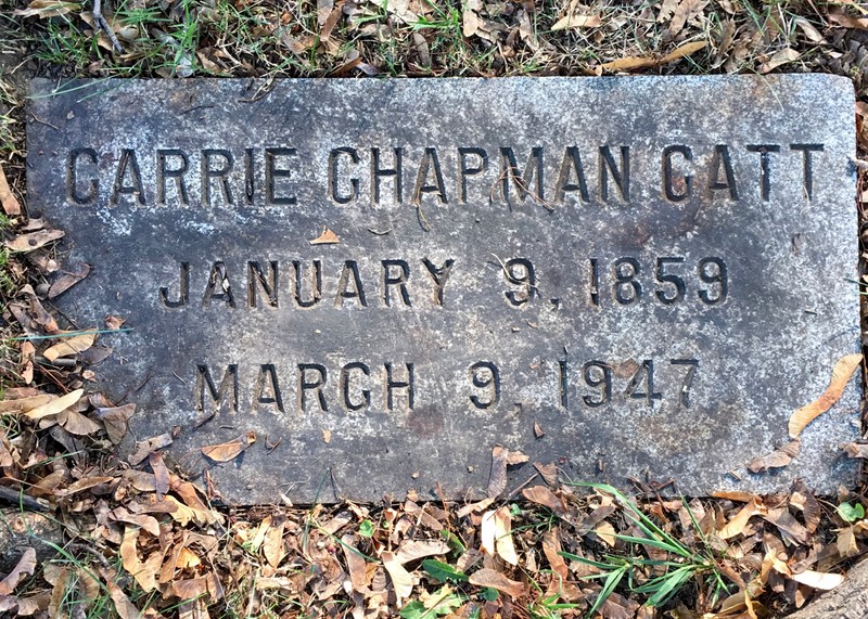 Cemetery, Plant, Natural environment, Headstone