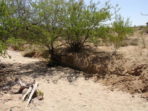 This wash is where the stagecoach was believed to have been attacked