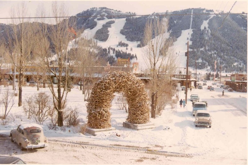 Snow, Mountain, Vehicle, Plant