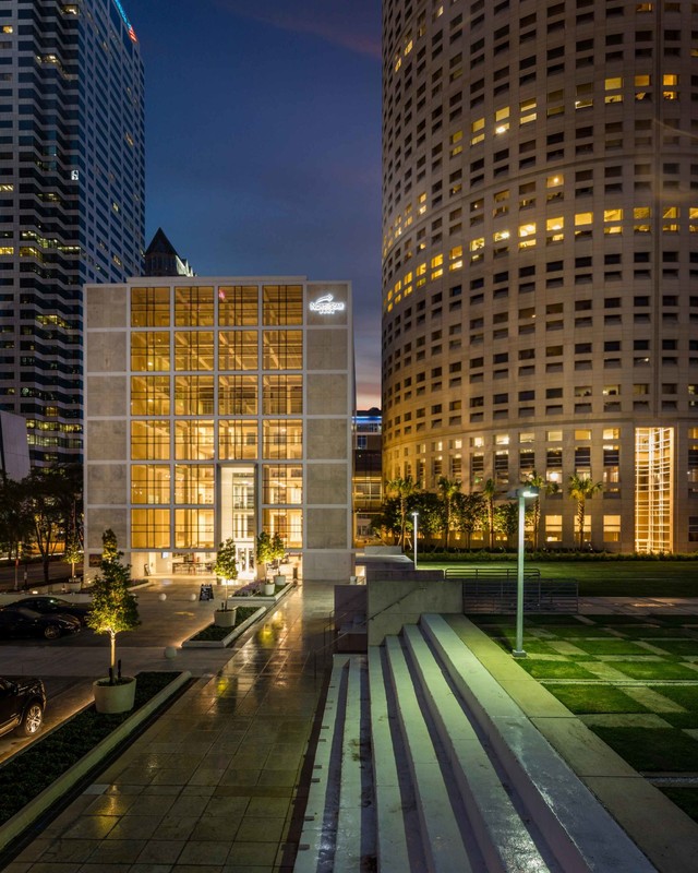 Building, Skyscraper, Plant, Window