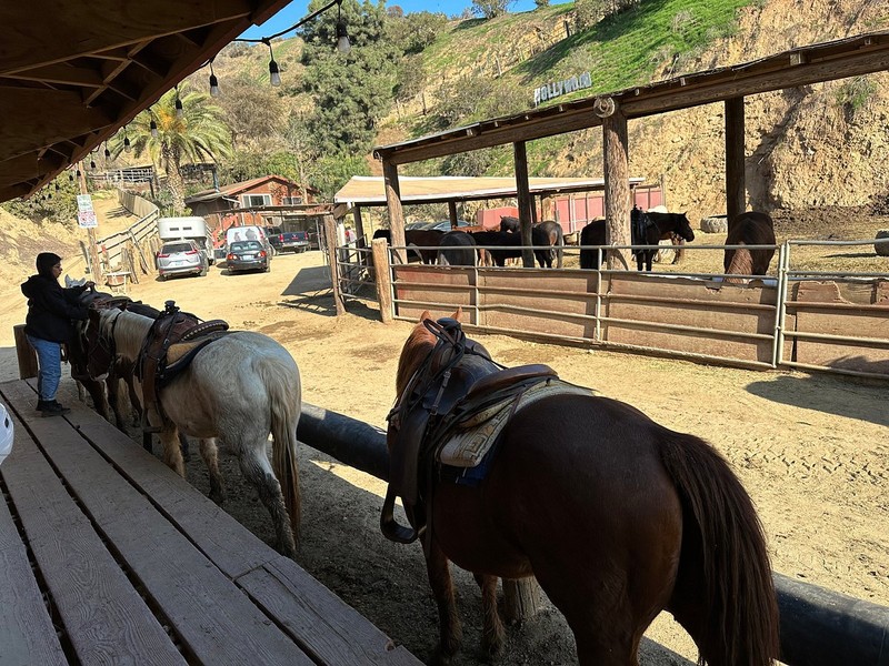 Sunset Ranch Hollywood - Clio