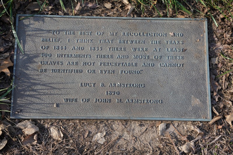 Leaf, Plant, Vegetation, Cemetery